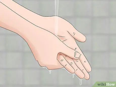 Уход за гигантской леопардовой мотылькой Caterpillar Шаг 12