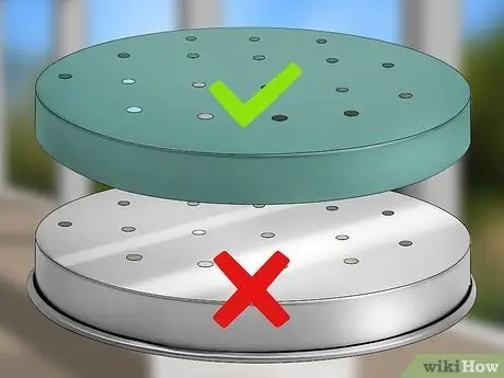 Уход за гигантским леопардовым мотыльком Caterpillar Шаг 2