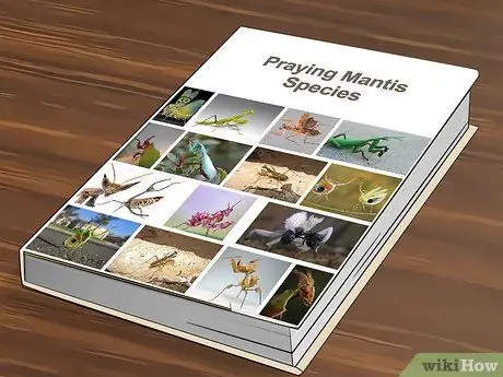 Поймать и удержать богомола Шаг 12