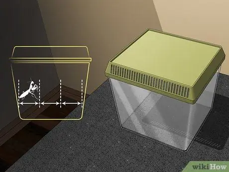 Поймай и держи богомола Шаг 5