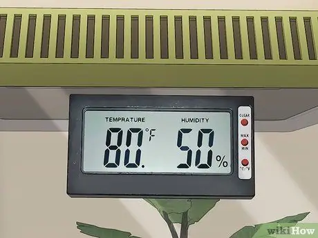 Поймай и держи богомола Шаг 8