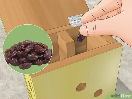 Постройте дом с божьей коровкой Шаг 10