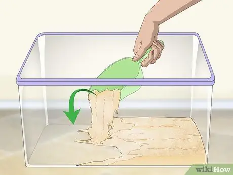 Выведение изопод Шаг 1