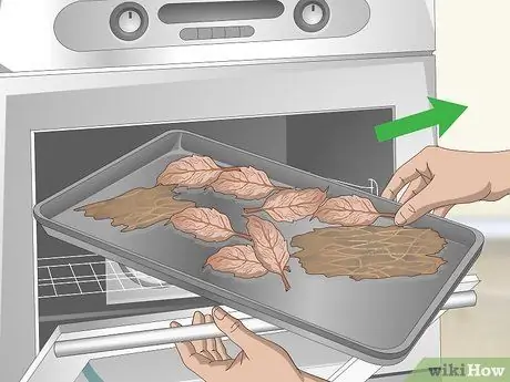 Разведение изопод, шаг 2