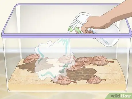 Выведение изопод Шаг 3