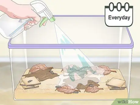 Выведение изопод Шаг 6