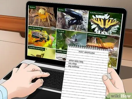 Определите насекомое Шаг 7