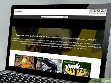 Определите насекомое Шаг 9