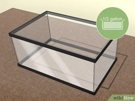 Держите пиявок в качестве домашних животных Шаг 1