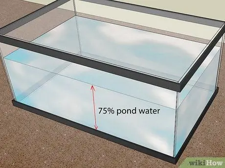 Держите пиявок в качестве домашних животных Шаг 3