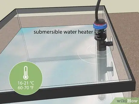 Держите пиявок в качестве домашних животных Шаг 4