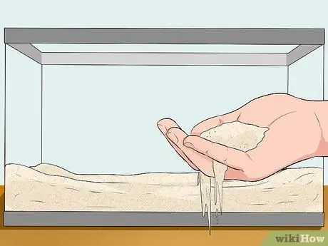 Сделайте аквариум уникальным Шаг 8