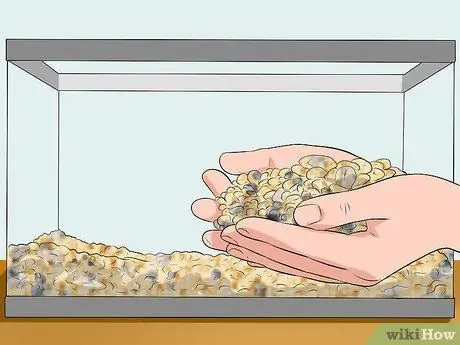 Сделайте аквариум уникальным, шаг 9