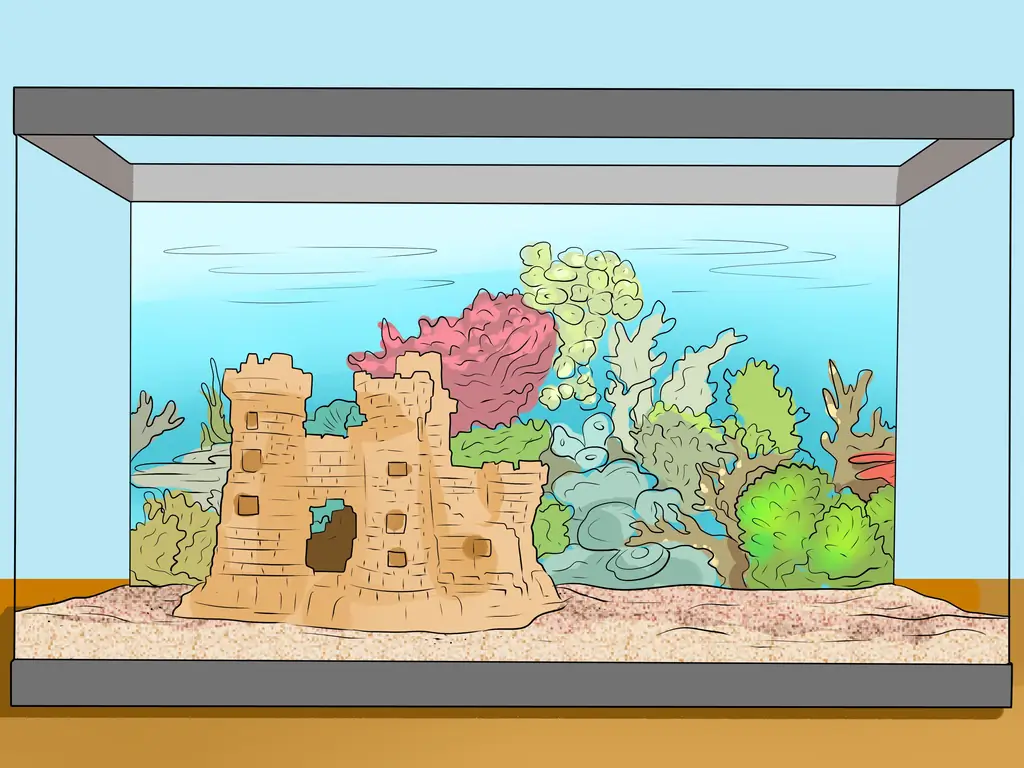 4 способа выделить аквариумные декорации