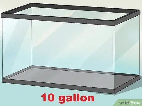 Знайте, какую рыбу собрать в аквариум Шаг 1