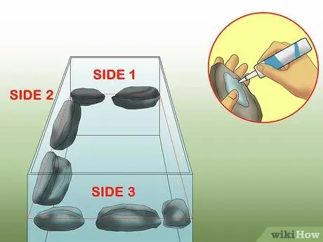 Создание аквариумов, в которых ящерицы и рыбы могут сосуществовать Шаг 4