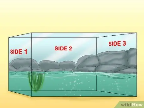 Создание аквариумов, в которых ящерицы и рыбы могут сосуществовать Шаг 6