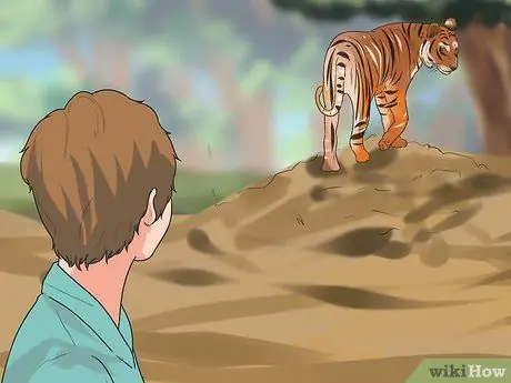 Пережить атаку тигра, шаг 5