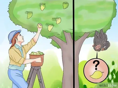 Отгоняйте обезьян из жилых районов, шаг 3