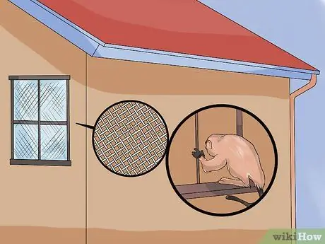 Отгоните обезьян из жилых районов, шаг 4