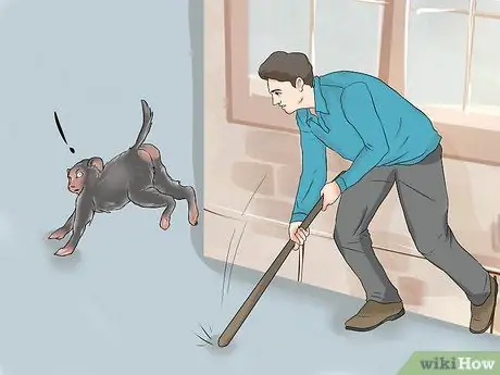 Отгоните обезьян от жилых районов, шаг 7