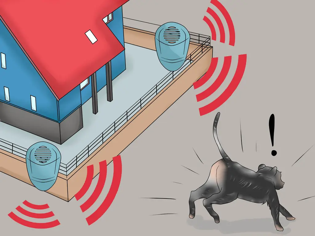 Как отогнать обезьян из жилых районов: 9 шагов