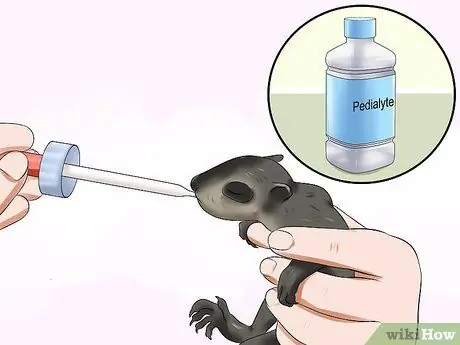 Покормить енота Шаг 13