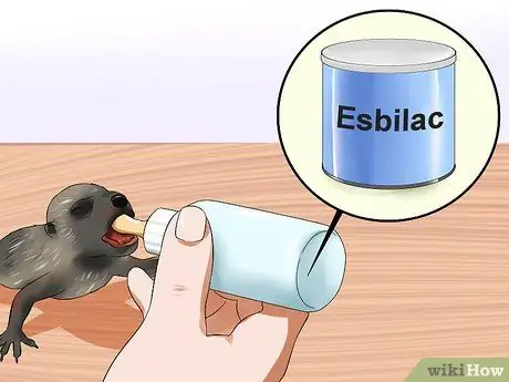 Покормить енота Шаг 3