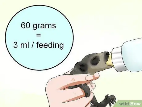 Покормить енота Шаг 8