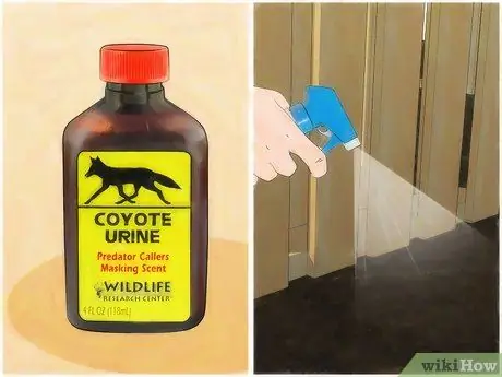 Не подпускайте кота-рыбака Шаг 12