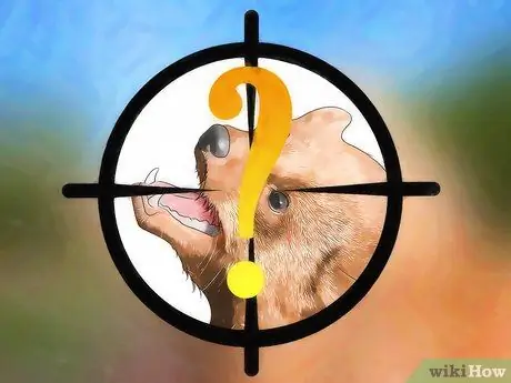 Не подпускайте кота-рыбака Шаг 14