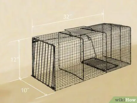Не подпускайте кота-рыбака Шаг 15