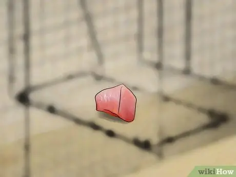 Не подпускайте кота-рыбака Шаг 16