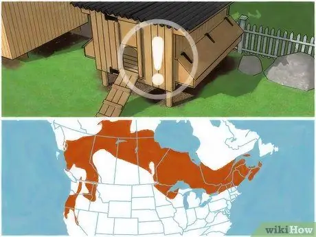 Не подпускайте кота-рыбака Шаг 5