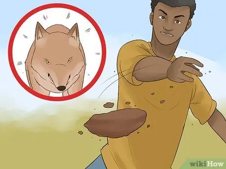 Пережить атаку койота, шаг 10