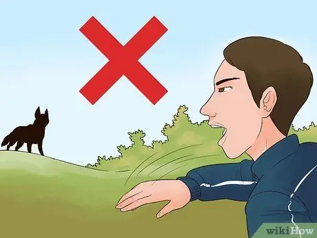 Пережить атаку койота, шаг 4