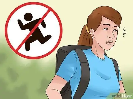 Пережить атаку койота, шаг 9