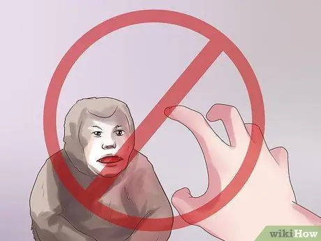 Позаботьтесь об обезьяне Шаг 14