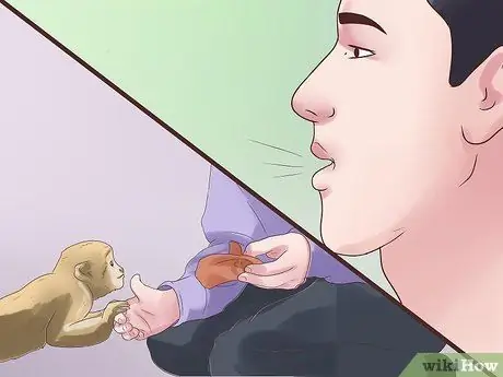 Позаботьтесь об обезьяне Шаг 15