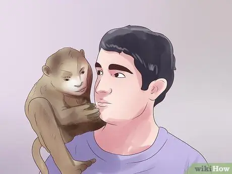 Позаботьтесь об обезьяне Шаг 2