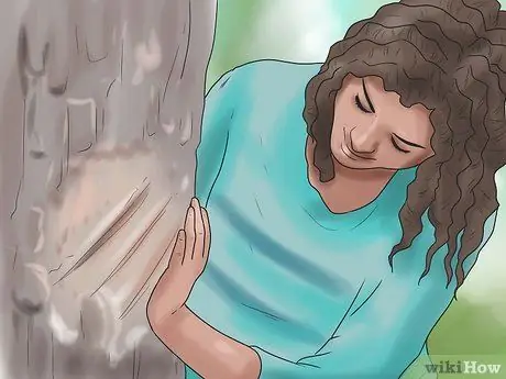 Отразить горного льва Шаг 9