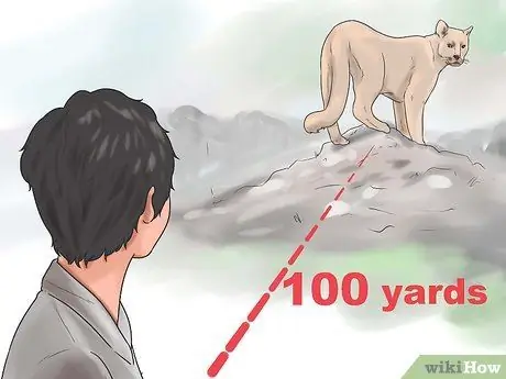 Отразить горного льва Шаг 10