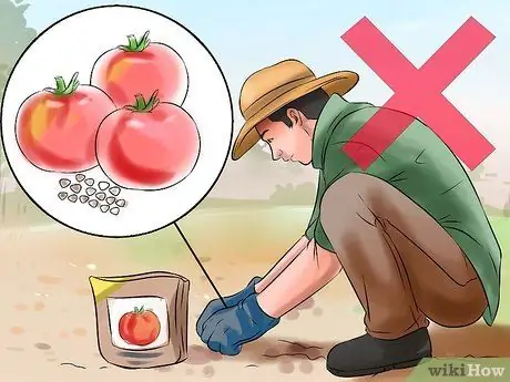 Отразить горного льва Шаг 13