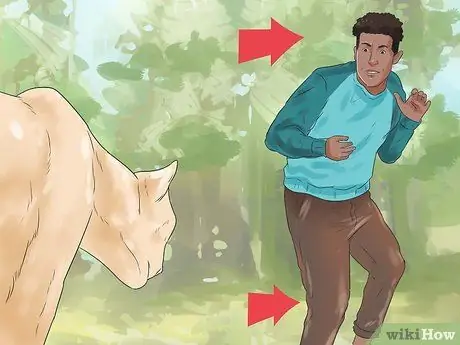 Отразить горного льва, шаг 2