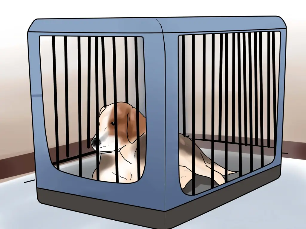 3 способа отбиться от горного льва