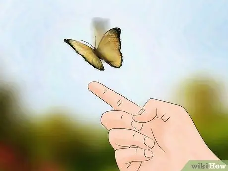 Создайте среду обитания для гусеницы Шаг 14