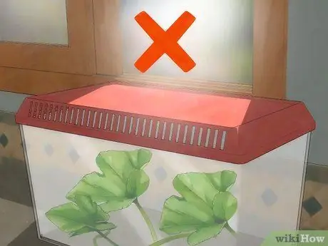 Создание среды обитания для гусеницы Шаг 4