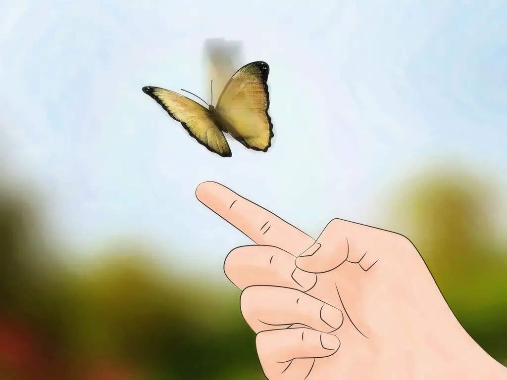 3 способа создать среду обитания для гусеницы