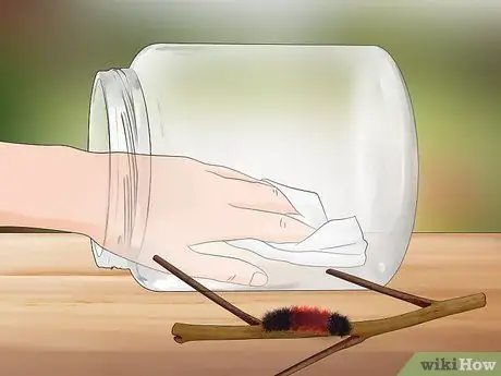 Уход за гусеницами шерстистого медведя Шаг 3