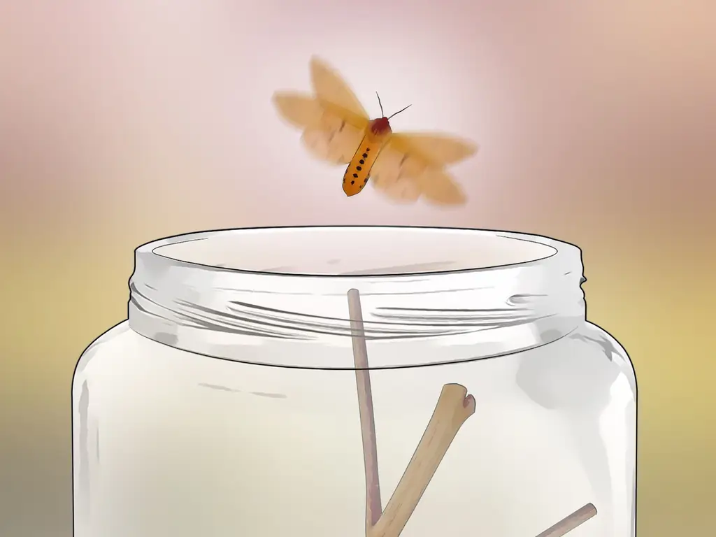 Как ухаживать за гусеницами шерстистого медведя: 12 шагов (с иллюстрациями)